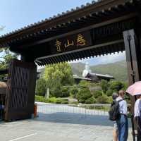 Hidden gem in Hong Kong! Tsz Shan Monastery