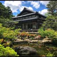Nara Park ❤️ 