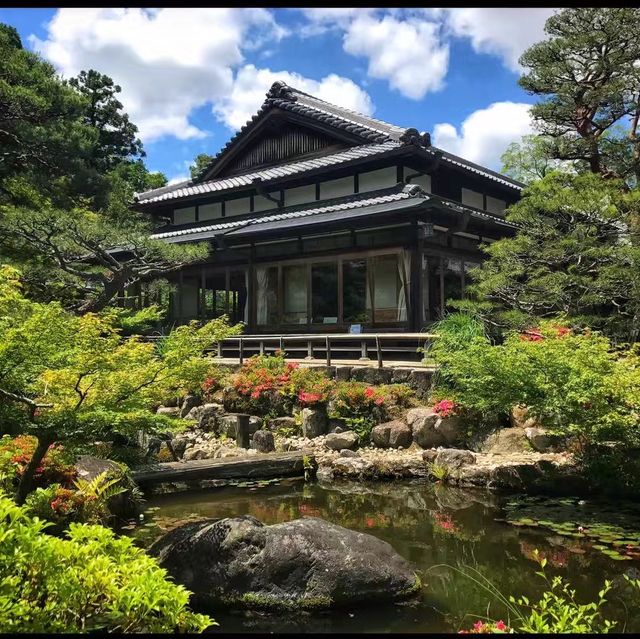 Nara Park ❤️ 