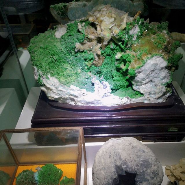 Incredible Minerals and fossils at Shilin