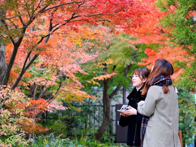 日本九州太宰府