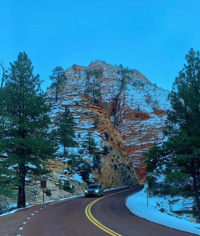 Go to Zion National Park for hiking and exploration.