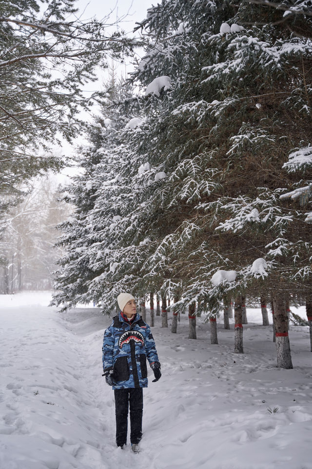 What is it like to ride a 30,000 yuan ice and snow train?