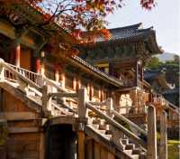 Korean travel guide