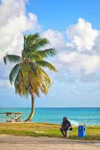 February travel | I found the jelly sea in my heart in the Caribbean 🌊