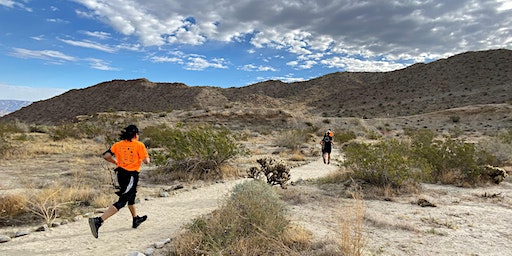 2024 Wildflower 5k Trail Fun Run/Walk | Santa Rosa-San Jacinto Mountains National Monument