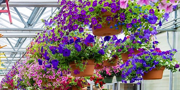 Make Your Own Hanging Basket | Smith's Acres Llc