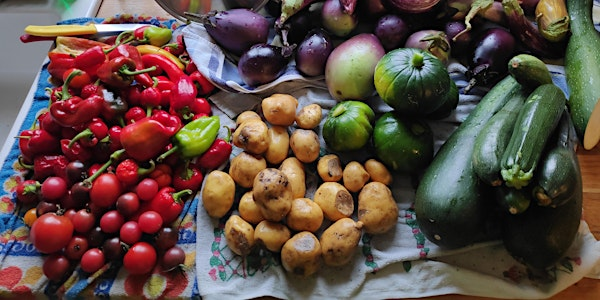 Deep dive into fruits and seeds | Green Synergy Charity