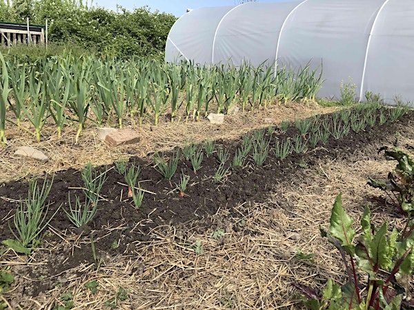 Grow Your Own 2025 series | Global Gardens Project
