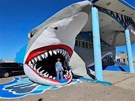 Amazing Anna Maria Island Amazing Race & Tour | Anna Maria Island Beach Cafe
