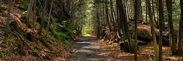 Trails Appreciation Day | Steep Rock Preserve
