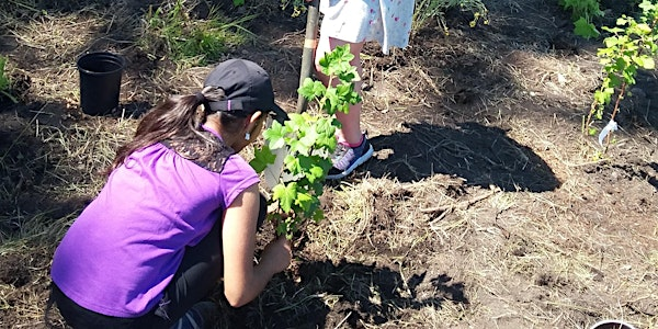 MacKay Creek Planting Event | Lower Mackay Creek Park