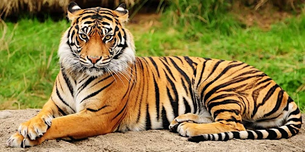 2025 Haynesville Woodson National Alumni Association Reunion | 1563 Fairgrounds Dr