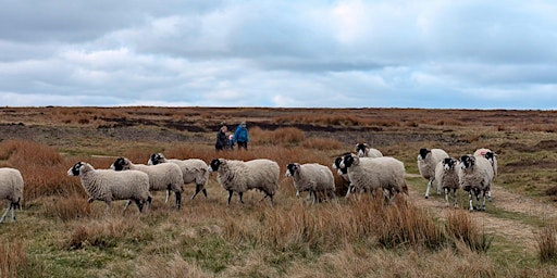 Allendale Mini Challenge 2026 | Market Place