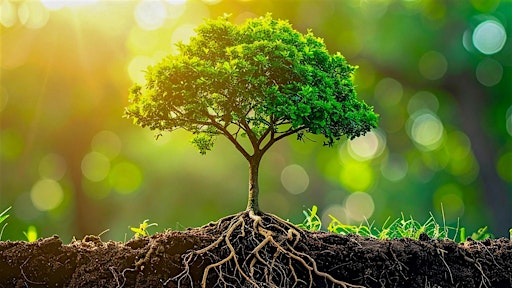 Living Soil: The Hidden World That Feeds Us | Crown Point Ecology Center