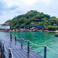 ฉันรักเกาะเต่า