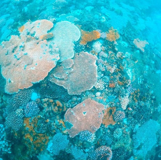GILI NOKO BAWEAN ISLAND : GRESIK