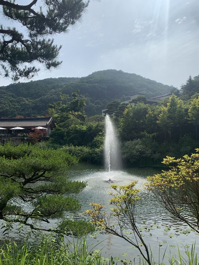 가을 여행지 추천 :: 화담숲🌳