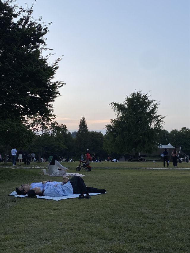 건물과 숲의 조화 🌳 서울숲 
