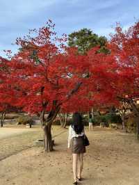 가을하면 단풍🍁 단풍하면 호암미술관 🍁