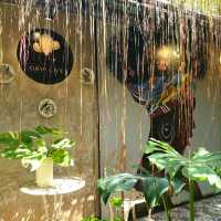 Oasis Café ป่ากลางเมือง พิษณุโลก