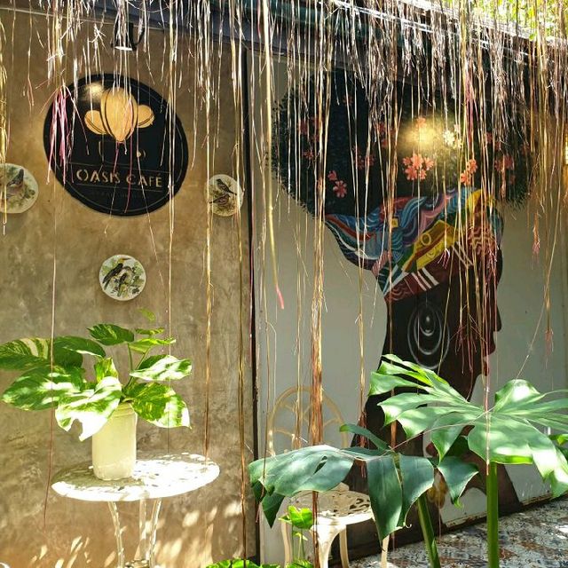 Oasis Café ป่ากลางเมือง พิษณุโลก