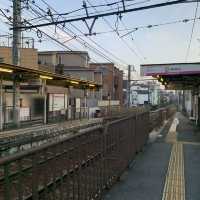 飛鳥山公園