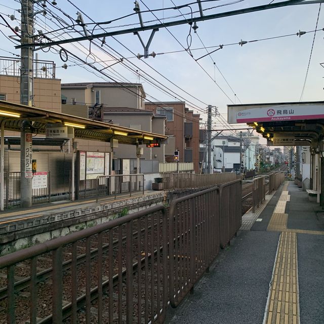飛鳥山公園