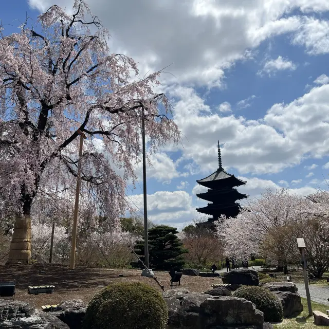 高台寺