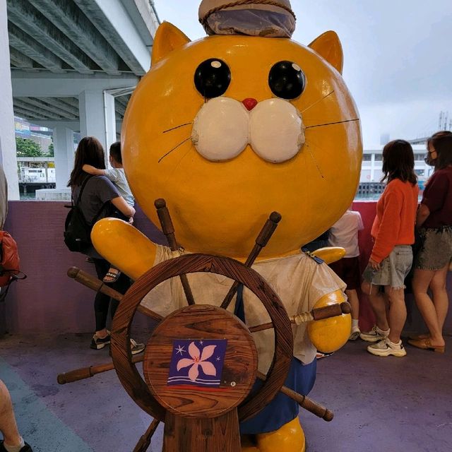 洋紫荊維港遊⛴️自助餐+開篷巴士遊