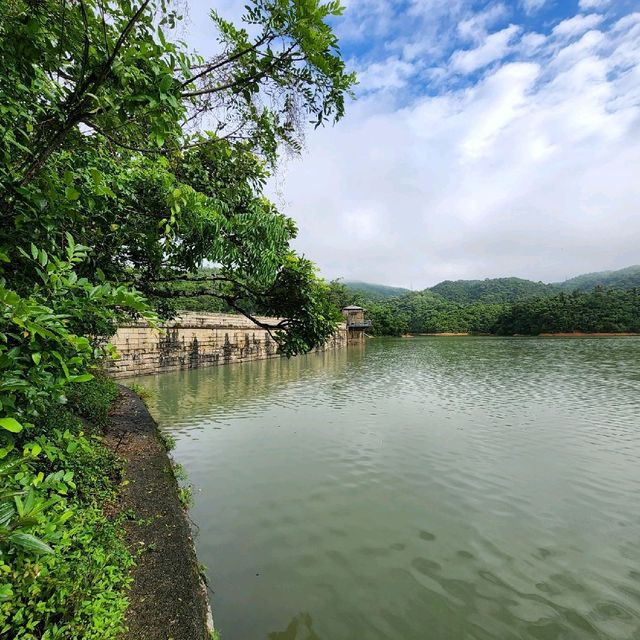 金山九龍水塘