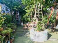 近在咫尺的秘密花園｜坪洲