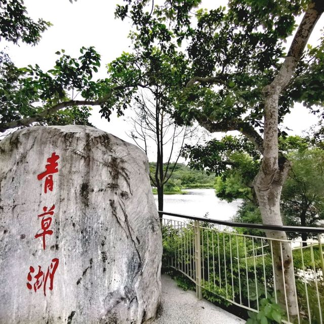 新竹約會勝地～夜景餐廳～青草湖畔景觀餐廳～101高山頂創意料理～