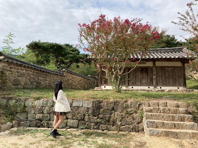 [경북/안동]한국의 미가 가득 흐르는 안동 포토존 추천🧡