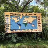 Fun with real crocodiles @ crocodile bank 