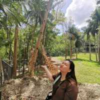 Africa in Cebu Safari and Adventure Park!