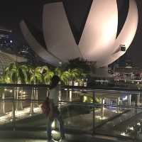Lotus structure at Marina Bay