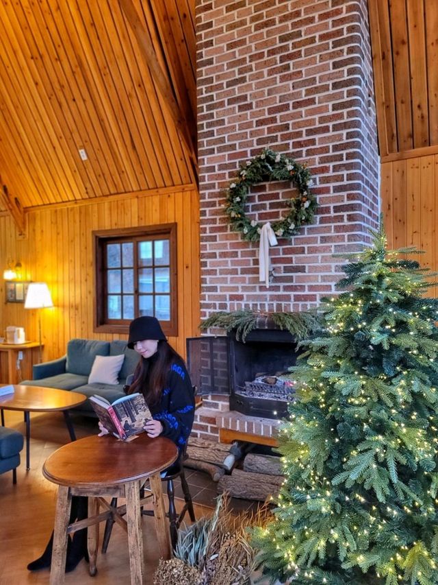숲속산장에서 크리스마스 즐기는 기분, 청도 카페월든🎄