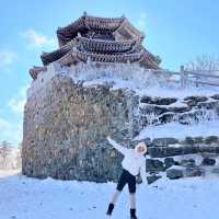 곤도라타고 쉽게 만나볼 수 있는 겨울왕국❄️