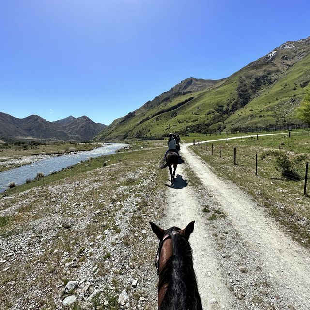 NZ 南島 皇后鎮 Moke Lake 營地旁 騎馬體驗