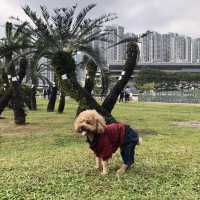 香港探險日記 之 大埔海濱公園