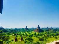 WONDERFUL BAGAN