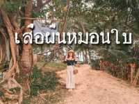 เสื่อผืนหมอนใบ•ภูเก็ต•
