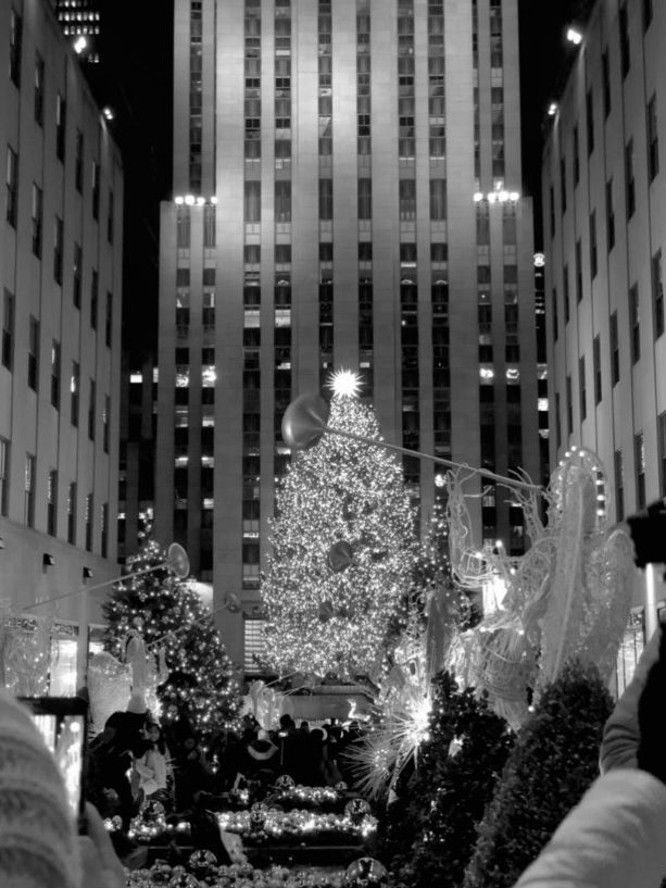 연말 여행은 역시. 🗽🎄✨