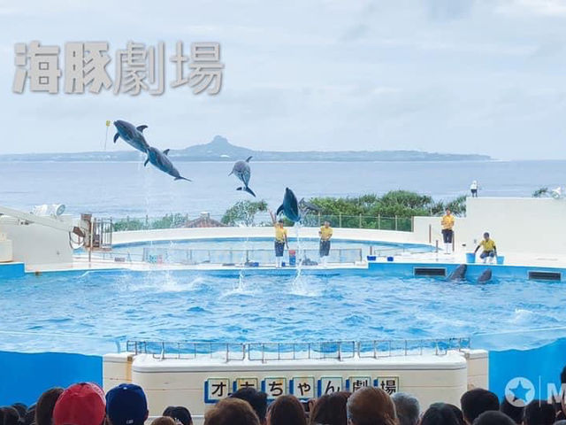 回顧沖繩遊