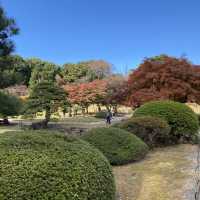 紅葉の新宿御苑・日本庭園