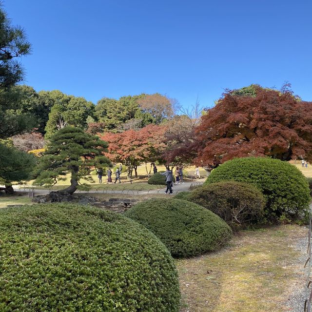 紅葉の新宿御苑・日本庭園