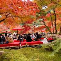 京都[紅葉めぐり]  永観堂[禅林寺]  (感動の庭園編)