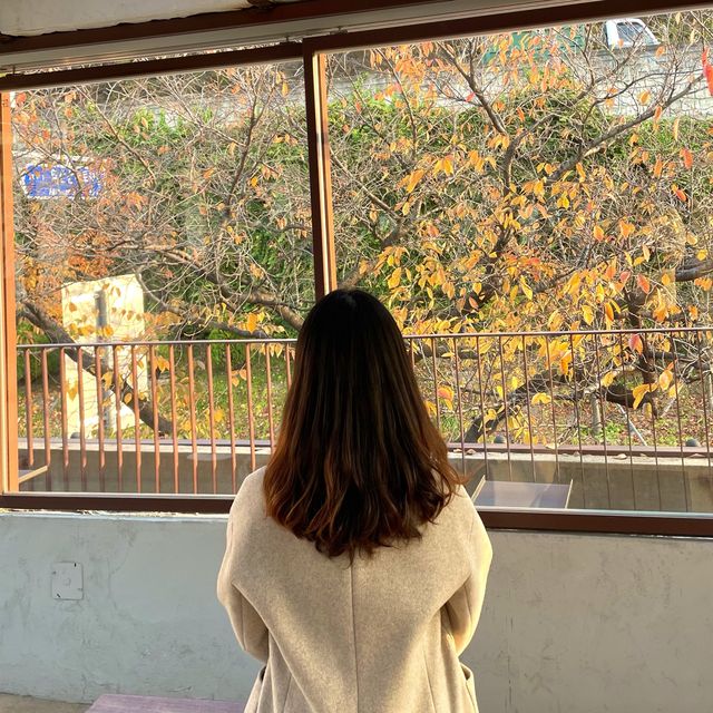 [🇰🇷, 대구] 앞산 핫플 뷰맛집 카페, 아눅앞산 🍂