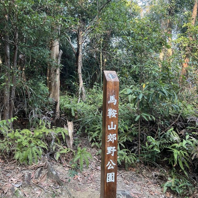 昂平草原行山郊游日